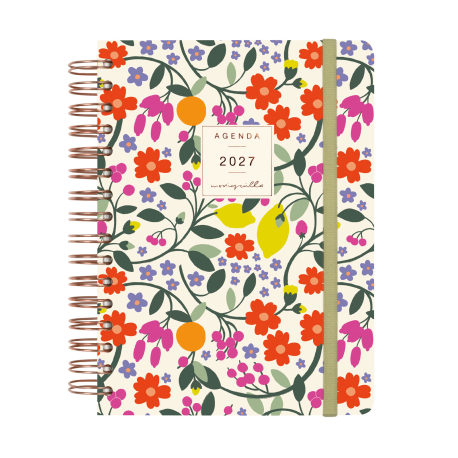 AGENDA ANUAL MONIQUILLA E10 1DP 2027 VERDE
