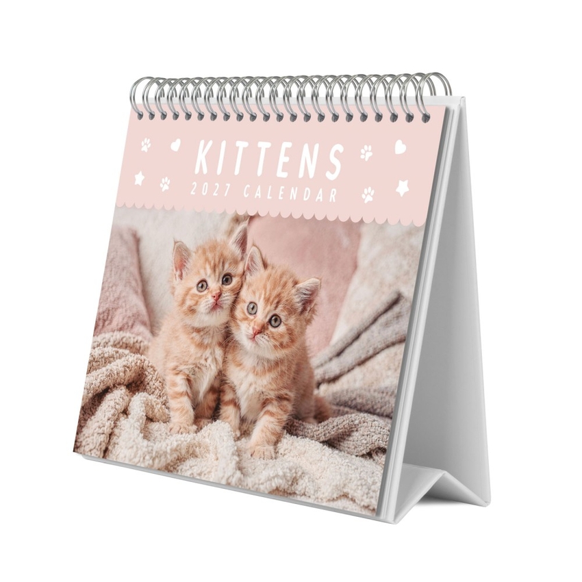 CALENDARIO DE ESCRITORIO 2027 GATITOS 19,5X16,5CM
